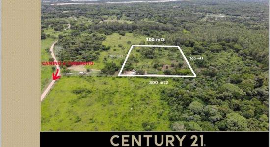 Santa Ana de Trejo 0, Urubo, Santa Cruz 00001, Bolivia