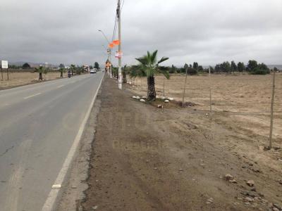 Panamericana Sur , Cañete, Lima 00001, Peru