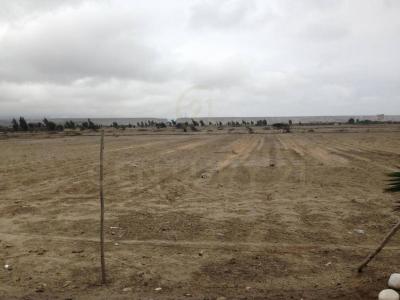 Panamericana Sur , Cañete, Lima 00001, Peru