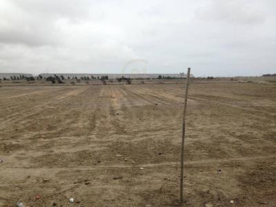 Panamericana Sur , Cañete, Lima 00001, Peru