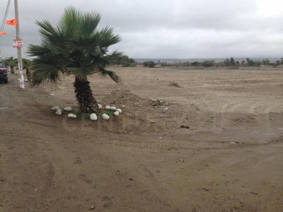 Panamericana Sur , Cañete, Lima 00001, Peru