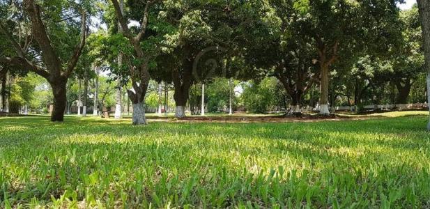 Yataity, Ciudad de Capiata , Capiatá, Central 00001, Paraguay