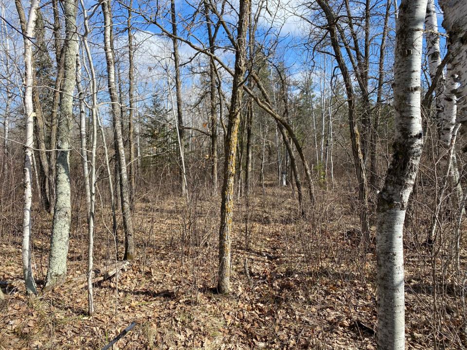 Grant Hills Rd Sw, Bemidji, Minnesota 56601