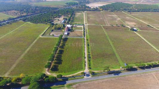 Palmela, セトゥーバル 2965, ポルトガル