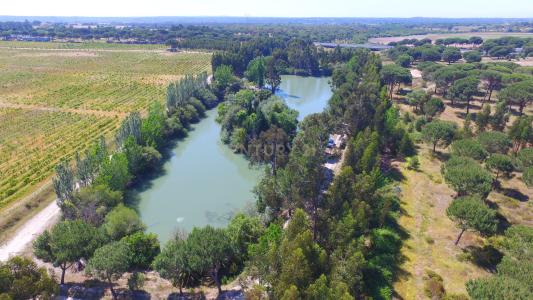 Palmela, Setubal 2965, Portugal