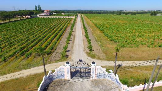 Palmela, Setubal 2965, Portugal