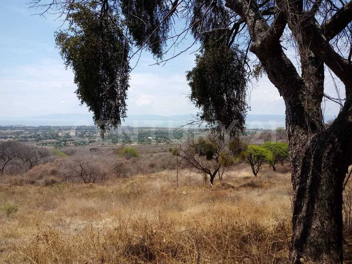 Camino Ixtlahuacán - Santa Cruz S/N, Ixtlahuacan De Los Membrillos, 哈利斯科 45850, 墨西哥