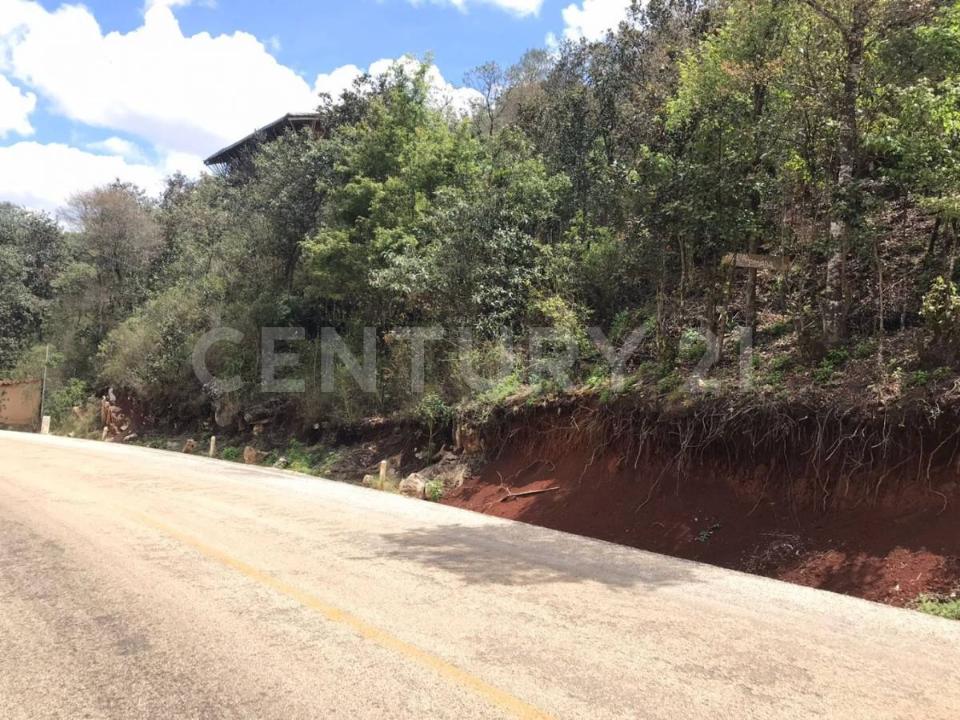 Localidad Peña Maria, El Porvenir S/N, San Cristóbal De Las Casas, 恰帕斯 29290, 墨西哥