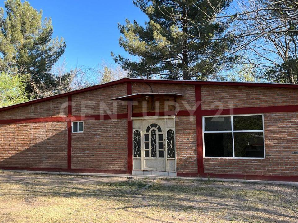 チワワ, チワワ 31415, メキシコ