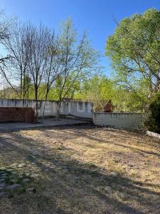 チワワ, チワワ 31415, メキシコ