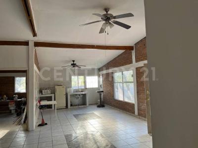 チワワ, チワワ 31415, メキシコ