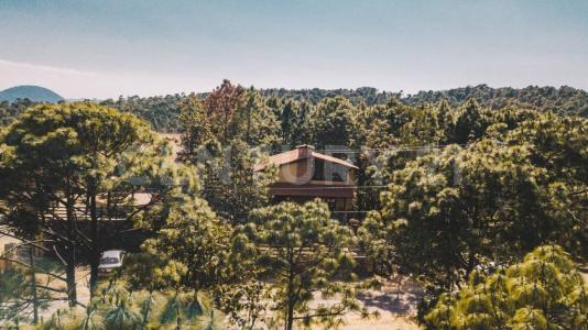 CABAÑA NAVITA  7, Mascota, Jalisco 46900, México