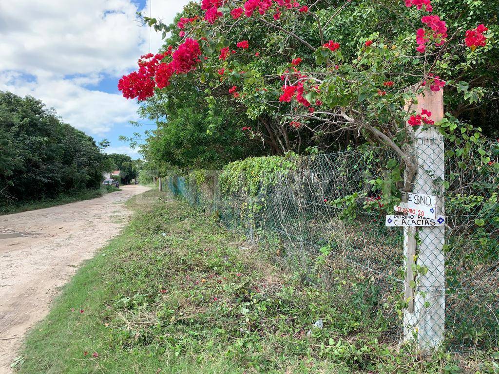 Avenida Fonatur Supermanzana 313, Cancún/Benito Juárez, Quintana Roo 77533, Mexico