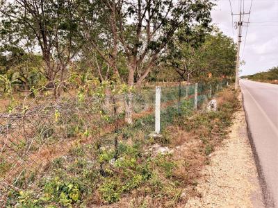 Avenida Prolongación La Luna Supermanzana 249, Cancún/Benito Juárez, Quintana Roo 77533, Mexico