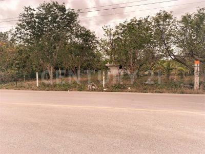 Avenida Prolongación La Luna Supermanzana 249, Cancún/Benito Juárez, Quintana Roo 77533, Mexico