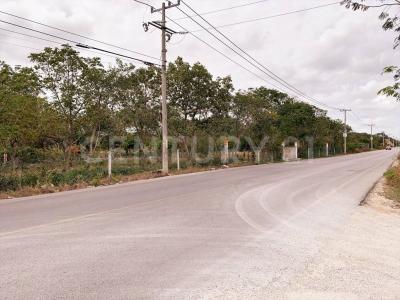 Avenida Prolongación La Luna Supermanzana 249, Cancún/Benito Juárez, Quintana Roo 77533, Mexico