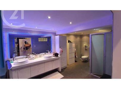 דובדבן , Eilat, Israel