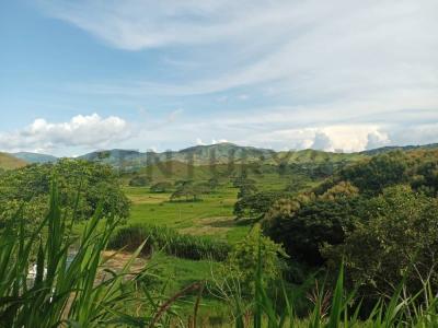 Valencia, Carabobo 00001, Venezuela