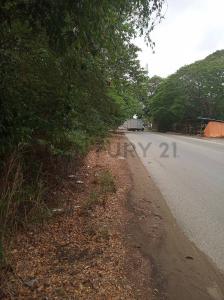 Av 31 de Julio Sector Las Huertas, La Asunción, Nueva Esparta 6311, Venezuela