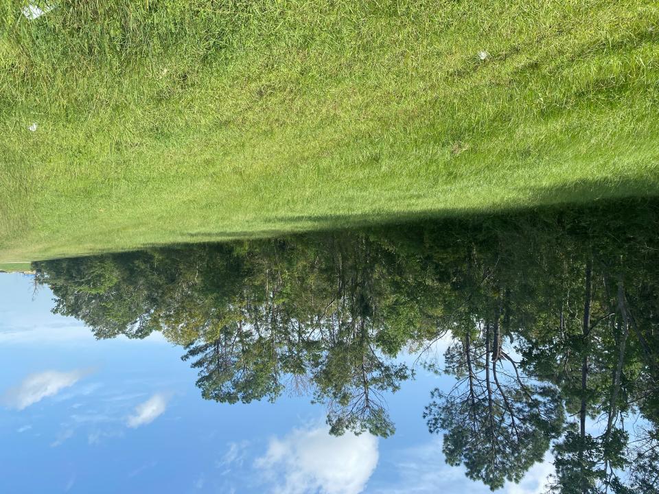 Tbd J Jardell Road, Vinton, 路易西安納州 70668, 美國