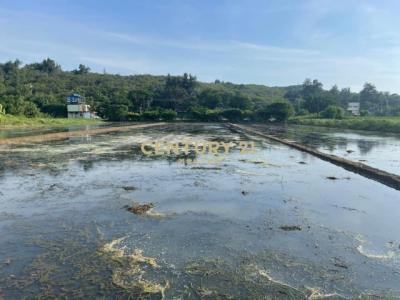 湖南段, Hukou Township, Hsinchu County 303, Taiwan