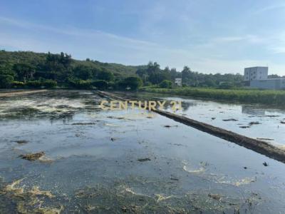 湖南段, Hukou Township, Hsinchu County 303, Taiwan