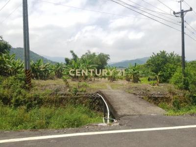 大進段, Dongshan Township, Nghi Lan 269, Đài Loan