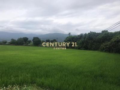 民權段, Jiaoxi Township, Yilan City 262, Taiwan