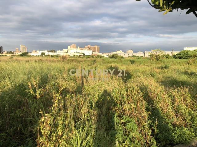 新庄子, 蘆竹區, Taoyuan 338, Taiwan