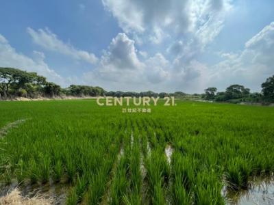 瑞光段, Xinfeng Township, Hsinchu County 304, Taiwan