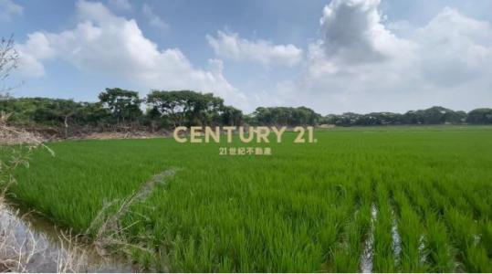 瑞光段, Xinfeng Township, Hsinchu County 304, Taiwan