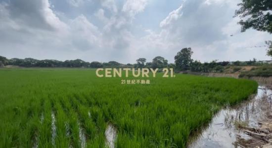 瑞光段, Xinfeng Township, Hsinchu County 304, Taiwan