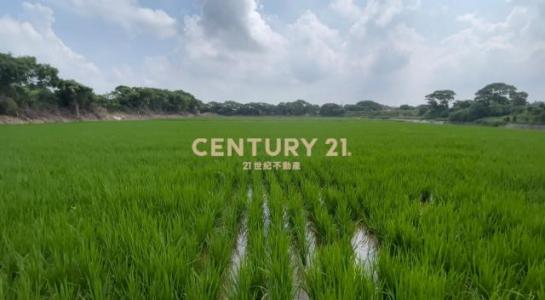 瑞光段, Xinfeng Township, Hsinchu County 304, Taiwan