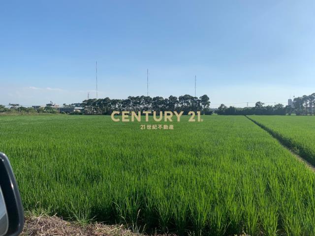 青埔子段, Xinfeng Township, Hsinchu County 304, 대만