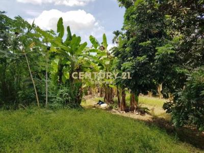 二重溪段, Zhongliao עיירה, Nantou קאונטי 541, טיוואן