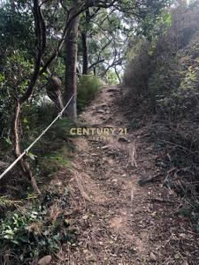 水車頭段, Xinpu Township, Hsinchu County 305, Taiwán