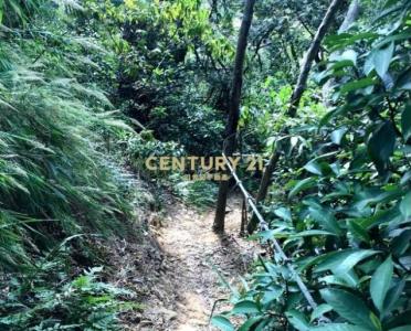 水車頭段, Xinpu Township, Hsinchu County 305, Taiwán