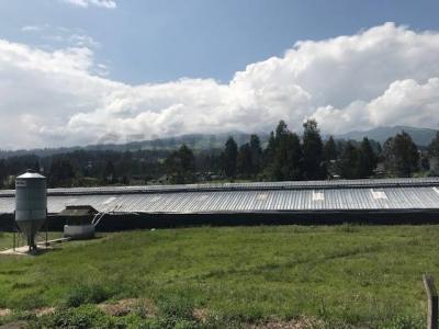 Quito, Pichincha 00001, Ecuador