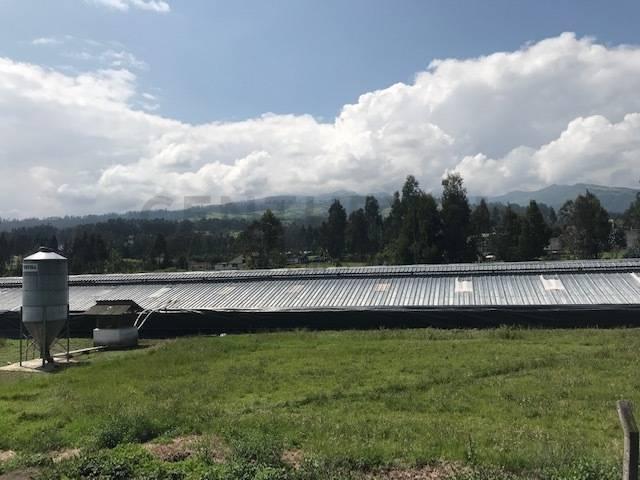 Quito, Pichincha 00001, Ecuador