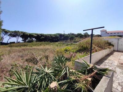 Cascais, Lisboa 2755-139, Portugal