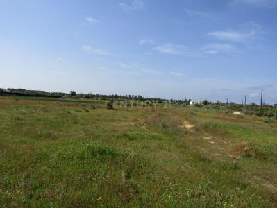 Albufeira, Faro 8200-424, Portugal
