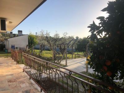 Castelo Branco, Castelo Branco 6000-113, Portugal