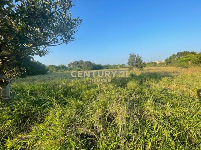 新豐段, 新豐鄉, 新竹縣 304, 台灣