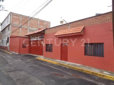 Primavera , Alvaro Obregón, Ciudad De México 01600, 墨西哥