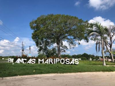 BUGAMBILIA  LOTE 15 MZA IV, FRACC. BLANCAS MARIPOSAS S/n, Paraíso, Tabasco 86615, Mexico