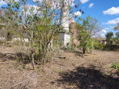 Progreso, 尤卡坦 97320, 墨西哥