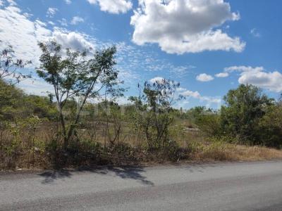 Progreso, 尤卡坦 97320, 墨西哥