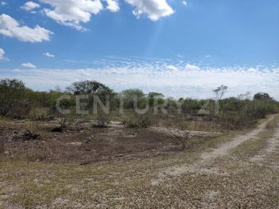 Progreso, 尤卡坦 97320, 墨西哥