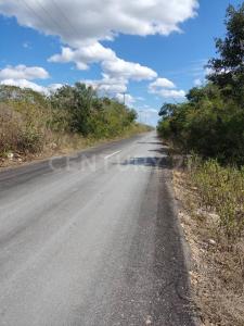 Progreso, 尤卡坦 97320, 墨西哥