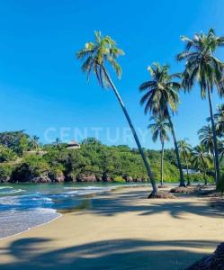 Los pelicanos Condominio Playa las tortugas 32- A, Compostela, 纳亚里特 63715, 墨西哥